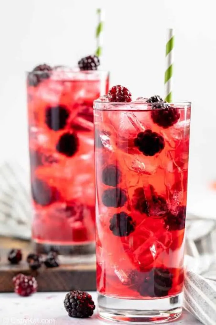 Berry Hibiscus